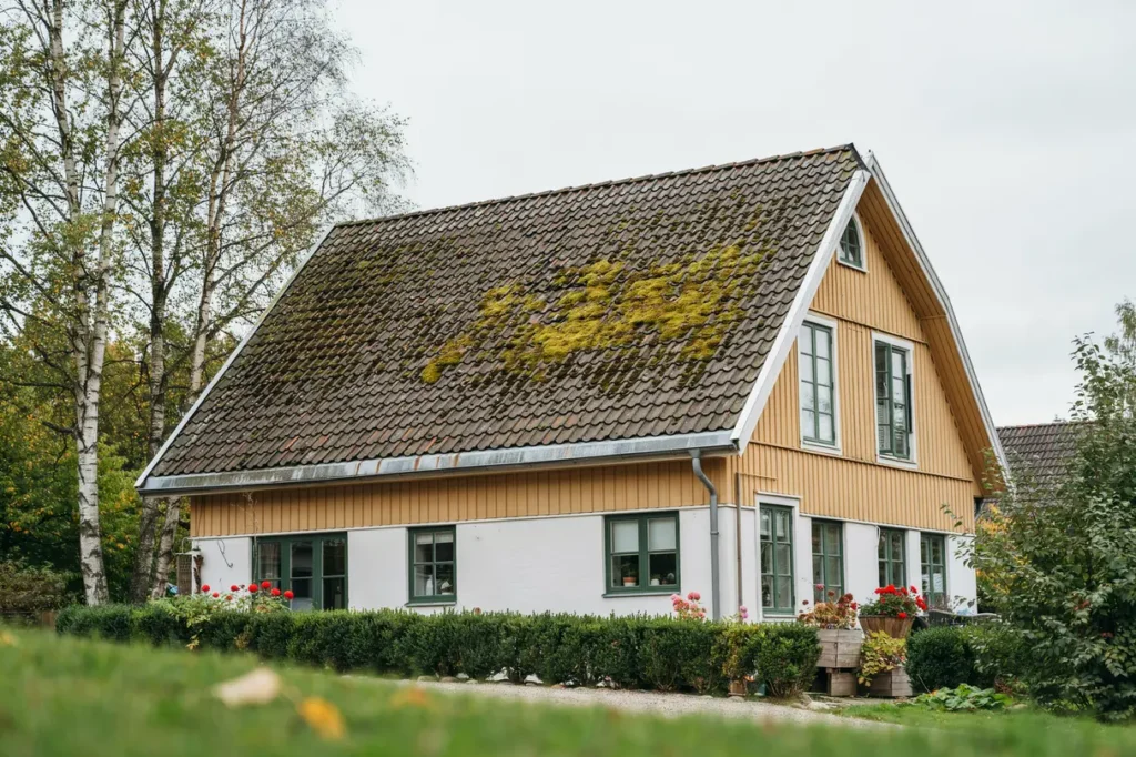 mossa p taket n r den r ett kosmetiskt problem och n r den riskerar att orsaka skador